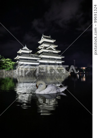 國寶松本城夜臉和天鵝 99691324