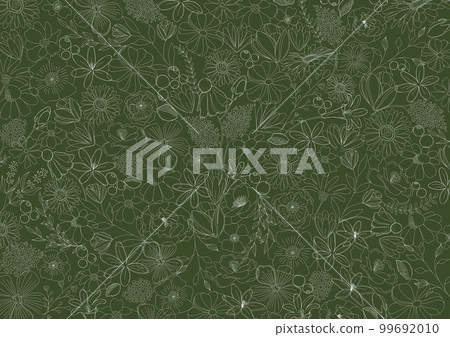 Flower simple, line drawing, natural botanical background material with beautiful line drawing 99692010