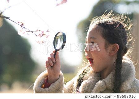 Girl looking at cherry blossoms with a magnifying glass 99692016