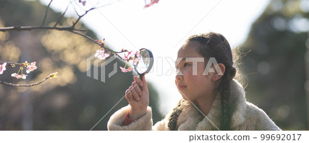 Girl looking at cherry blossoms with a magnifying glass 99692017