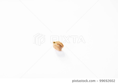 a grain of chickpea 99692602