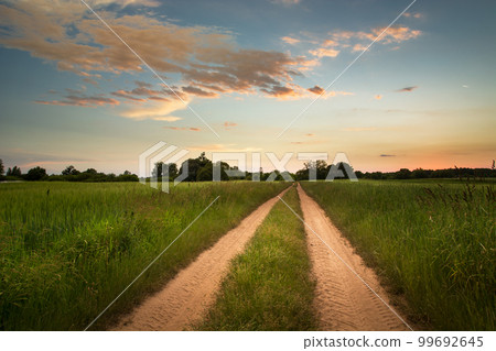 Sandy road through fields and cloud on the evening sky 99692645