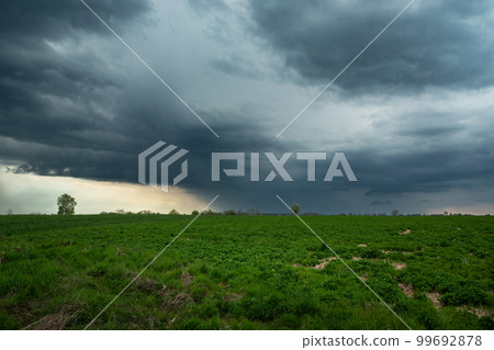 Rainy cloudy sky over green fields, Czulczyce, Poland Rainy cloudy sky over green fields, Czulczyce, Poland 99692878