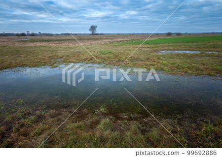 Water in the meadow and cloudy sky Water in the meadow and cloudy sky 99692886