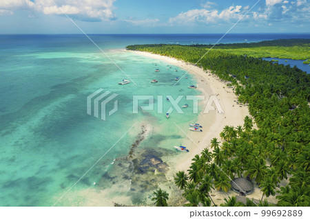 Tropical carribbean beach Tropical carribbean beach 99692889