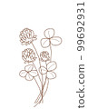 Clover line drawing 99692931