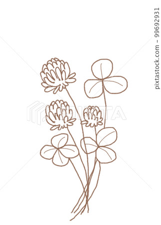 Clover line drawing 99692931