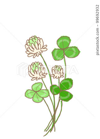 Clover  99692932