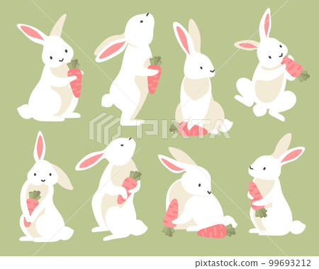 Rabbits With Carrot Cartoon Set Rabbits With Carrot Cartoon Set 99693212