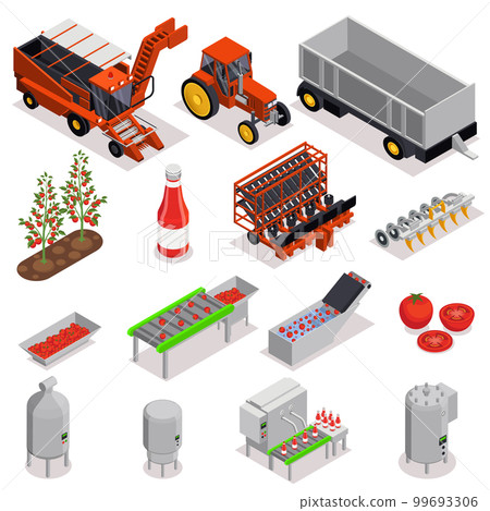 Tomatoes Production Icon Set 99693306