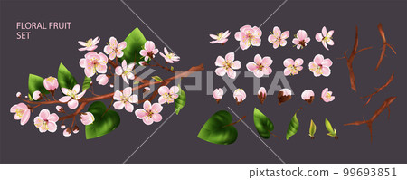 Fruit Tree Branch Set 99693851