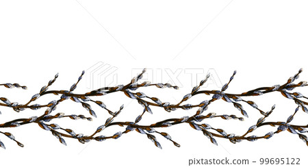 Watercolor easter seamless borders with willow branches. Spring hand drawn illustration on white background for decor 99695122