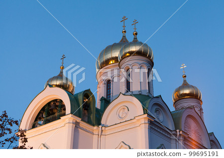 Cathedral of the Holy Great Martyr Catherine at night. Russia 99695191