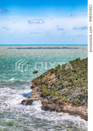 Above the cliffs at the coastline of Vieste. 99695661