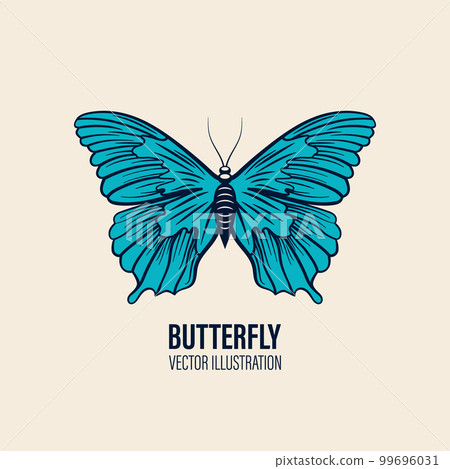 Vector Hand Drawn Butterfly Icon Closeup Isolated on White Background. Butterfly Design Template, Vintage Vector Illustration of Butterfly with Outline for Logo, Tattoo Design Vector Hand Drawn Butterfly Icon Closeup Isolated on White Background. Butterfly Design Template, Vintage Vector Illustration of Butterfly with Outline for Logo, Tattoo Design 99696031