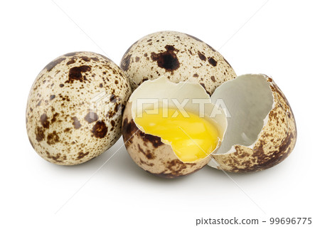 Raw quail egg isolated on white background with full depth of field Raw quail egg isolated on white background with full depth of field 99696775