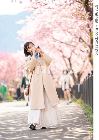 女人，相機，旅行，櫻花，觀光，河津櫻花，相機女孩，數碼相機，旅遊景點，旅行，旅遊勝地，女孩旅行，獨自旅行 99696819