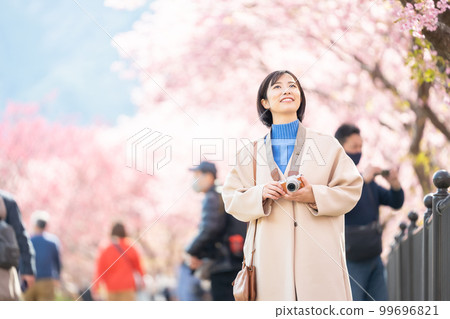 女人，相機，旅行，櫻花，觀光，河津櫻花，相機女孩，數碼相機，旅遊景點，旅行，旅遊勝地，女孩旅行，獨自旅行 99696821