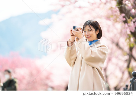 Woman, camera, travel, cherry blossoms, sightseeing, Kawazu cherry blossoms, camera girl, digital camera, sightseeing spot, trip, tourist attraction, girls' trip, solo trip Woman, camera, travel, cherry blossoms, sightseeing, Kawazu cherry blossoms, camera girl, digital camera, sightseeing spot, trip, tourist attraction, girls' trip, solo trip 99696824