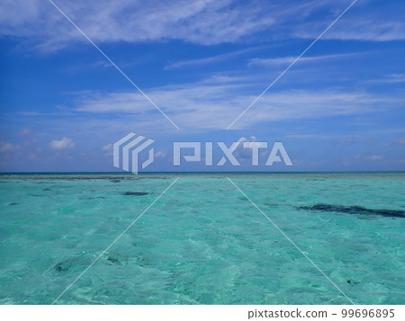 宮古海 宮古海 99696895