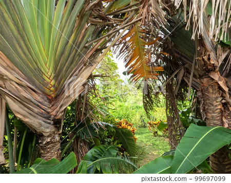 Yufu Island 99697099