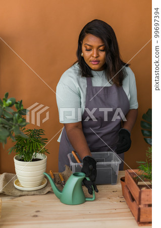 African american woman watering plant in new pot home gardening Indoor , Hobbies and leisure, Cultivation and caring for indoor potted plants. Replanting green plant into flower pot. African american woman watering plant in new pot home gardening Indoor , Hobbies and leisure, Cultivation and caring for indoor potted plants. Replanting green plant into flower pot. 99697394