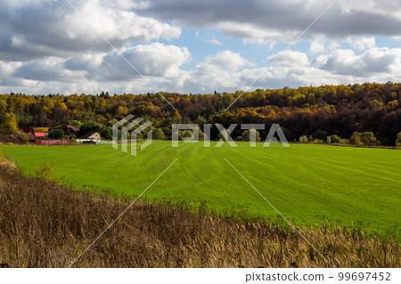 Lush green field on the outskirts of a rural settlement and a forest in the background, a beautiful rural landscape outdoor 99697452