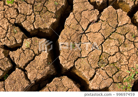 Drying cracks on the clay bottom of the reservoir after the water has dried Drying cracks on the clay bottom of the reservoir after the water has dried 99697459