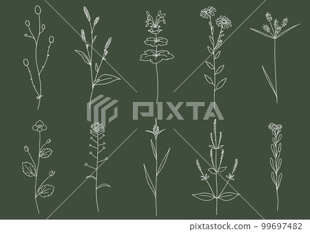 雜草線描(粉筆) 雜草線描(粉筆) 99697482