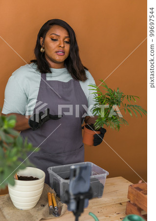 African american girl blogger influencer or SME owner work on home video camera selfie shoot filming take care home plants and transplanting plant in flowerpot. Home gardening and florist concept. 99697544