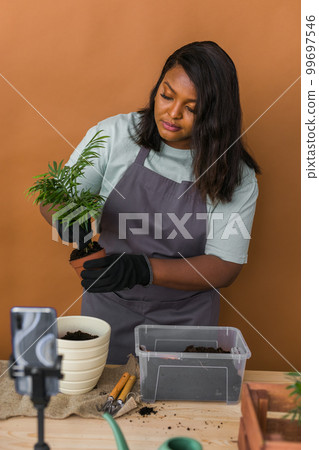 African american girl blogger influencer or SME owner work on home video camera selfie shoot filming take care home plants and transplanting plant in flowerpot. Home gardening and florist concept. 99697546