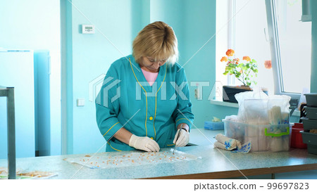 lab worker studying, examines sprouted, rooted corn seeds, in laboratory. Science laboratory research, biotechnology, GMO concept. germination of seeds of various grains, crops lab worker studying, examines sprouted, rooted corn seeds, in laboratory. Science laboratory research, biotechnology, GMO concept. germination of seeds of various grains, crops 99697823