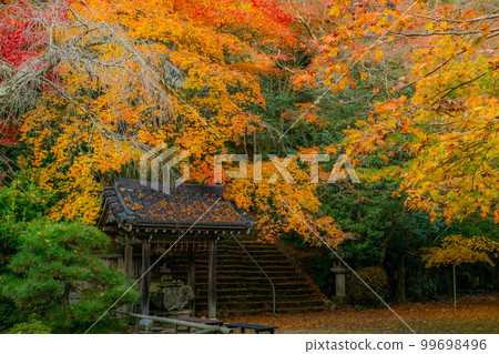Autumn leaves at Konzo-ji Temple in Nishiyama, Kyoto: Chozuya and approach Autumn leaves at Konzo-ji Temple in Nishiyama, Kyoto: Chozuya and approach 99698496