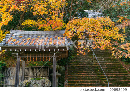 京都西山金藏寺的秋葉:Chozuya 和方法 京都西山金藏寺的秋葉:Chozuya 和方法 99698499