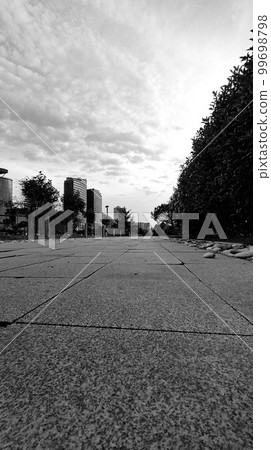 BW view on the Batumi. Georgia 99698798