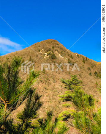 釋迦岳攀登鈴鹿七山：從中根步道看到的貓岳 99698901