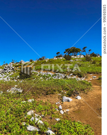 Climbing Mt. Fujiwara at Suzuka Seven Mountains: Kallenfelt on Mt. Fujiwara 99698985
