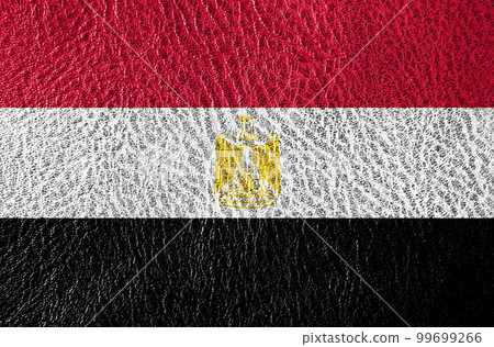 abstract leather texture with the flag 99699266