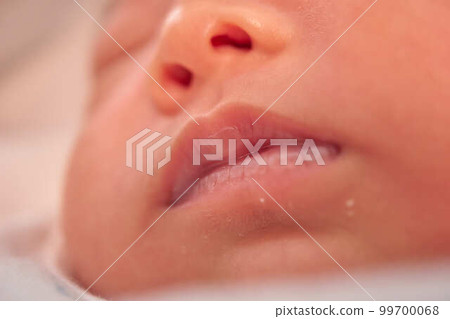 新生兒照片風格,新生兒肖像 新生兒照片風格,新生兒肖像 99700068