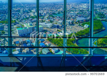 The view from Goryokaku Tower The view from Goryokaku Tower 99701669