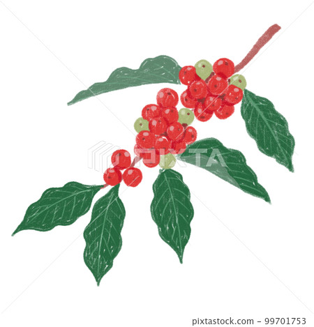 Illustration of coffee beans 99701753