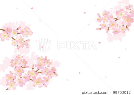 櫻花背景圖 櫻花背景圖 99703012