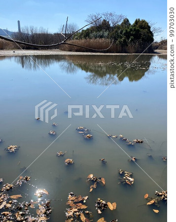 東大阪市 恩知川 防洪綠地 自然風光 99703030