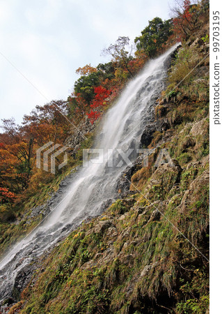 Amataki谷秋葉 99703195