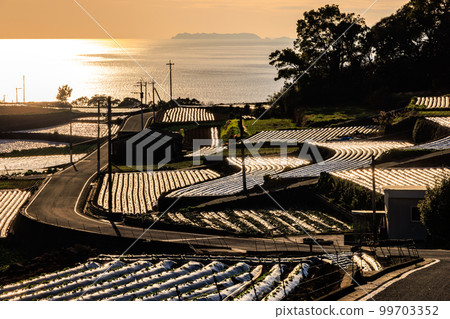 Shimabara Dandan Field 99703352