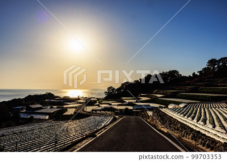 Shimabara Dandan Field Shimabara Dandan Field 99703353