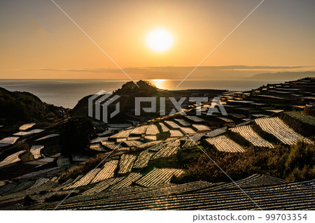 Shimabara Dandan Field Shimabara Dandan Field 99703354