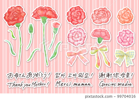 可用於母親節的水彩康乃馨插圖和手寫字符集無主線白色邊框矢量 99704016