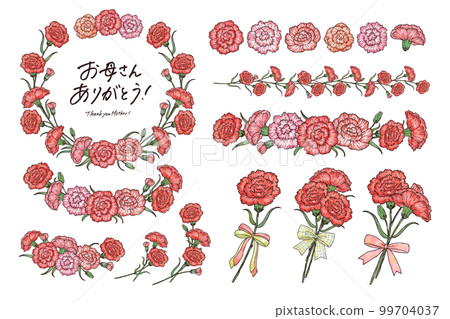 Watercolor style carnation frame and line material illustration set with main line vector Watercolor style carnation frame and line material illustration set with main line vector 99704037
