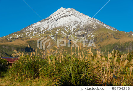 Mount Taranaki (or Mount Egmont) the iconic mountain of the Western region of North Island, New Plymouth, New Zealand. 99704236